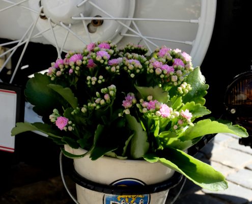 Ausfahrt 2019 – Bild 5 von 24