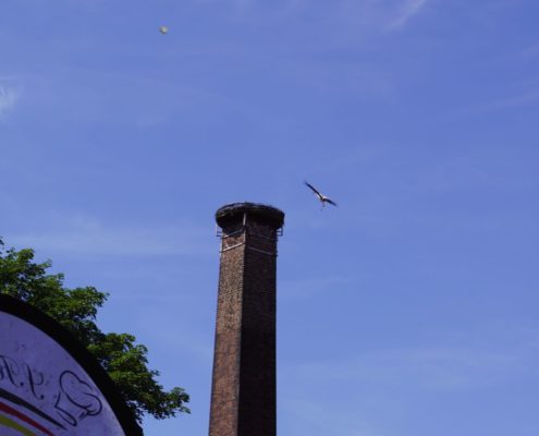 Ausfahrt 2021 – Bild 43 von 100